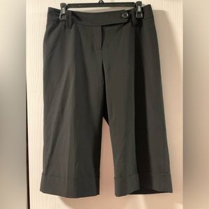 Ann Taylor Loft Ladies Petite Julie Wide Leg Dress Capri’s, GUC, Size 6P